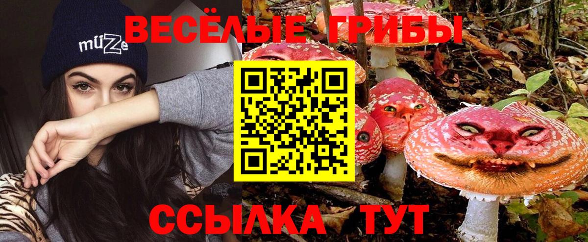 Псилоцибиновые грибы прущие грибы Янаул