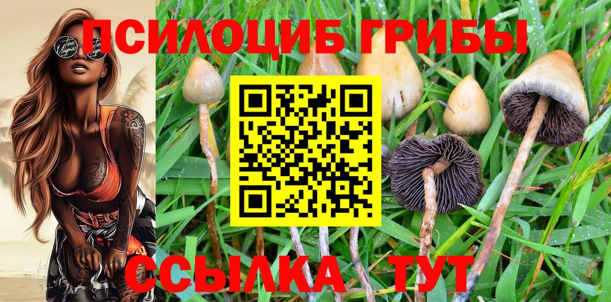 Псилоцибиновые грибы Magic Shrooms  цена наркотик  Янаул  Вход с VPN  Псилоцибиновые грибы Psilocybe 